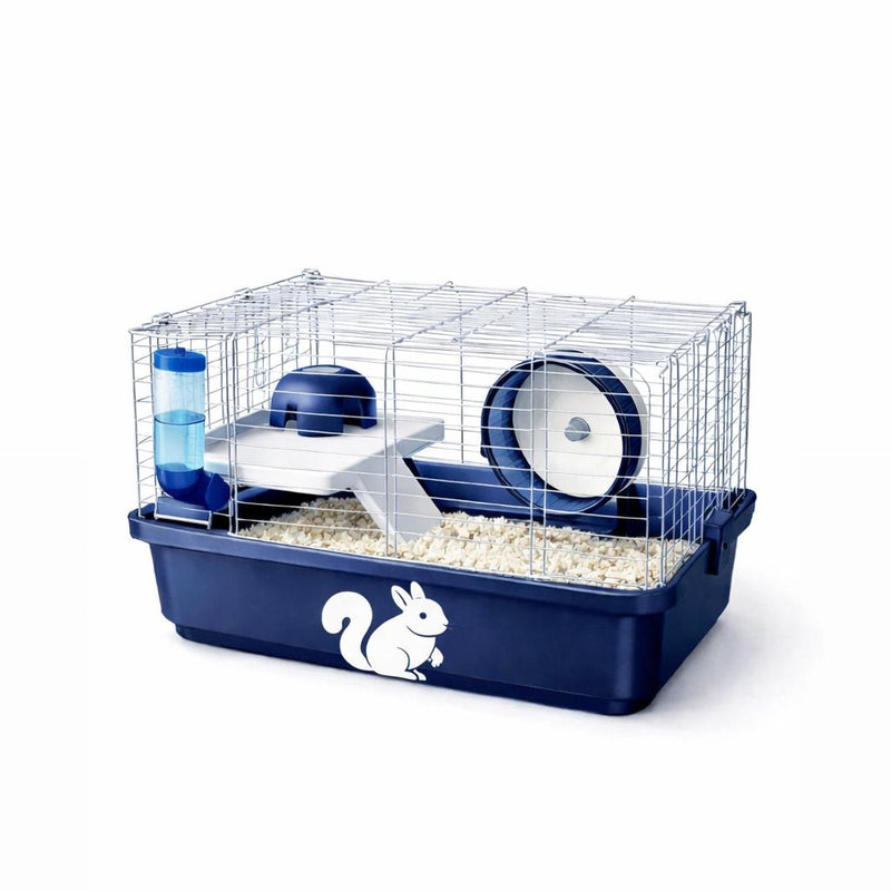 Squirrel accessories