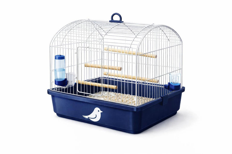 Chick accessories
