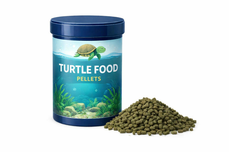 Tortoise food