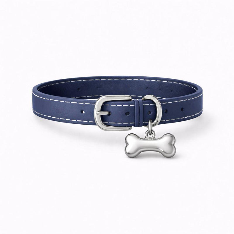 Dog accessories